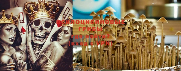 СК Арсеньев