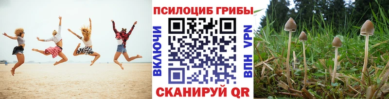 Псилоцибиновые грибы Magic Shrooms  Вельск 