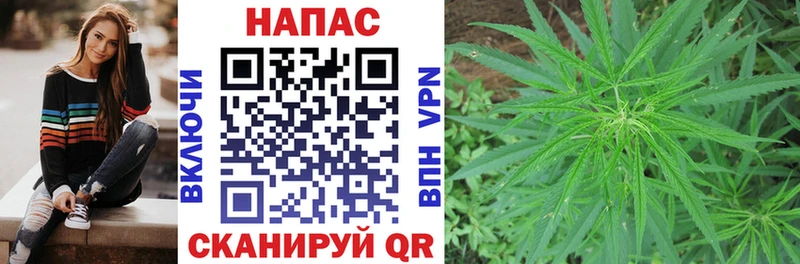 что такое наркотик  Вельск  Бошки Шишки план 